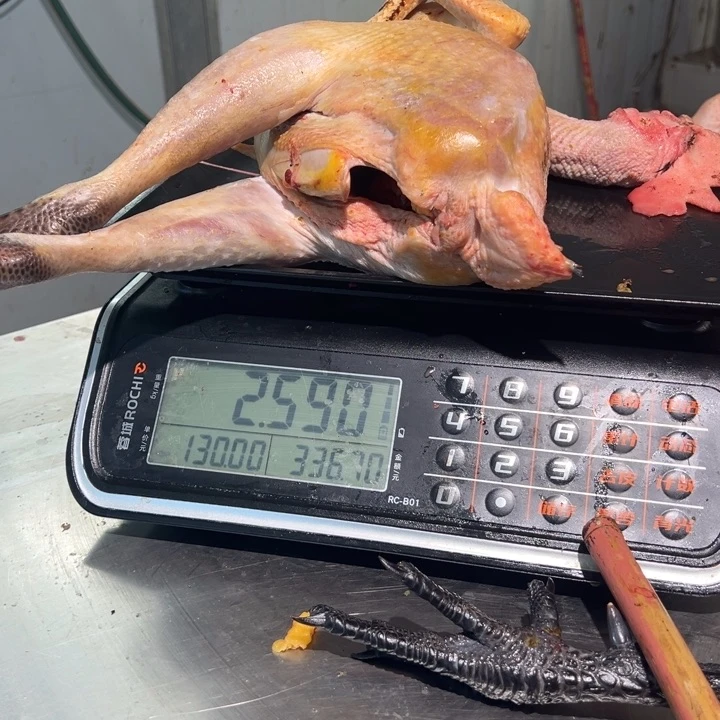 一号土鸡食用农产品中国大陆北****?