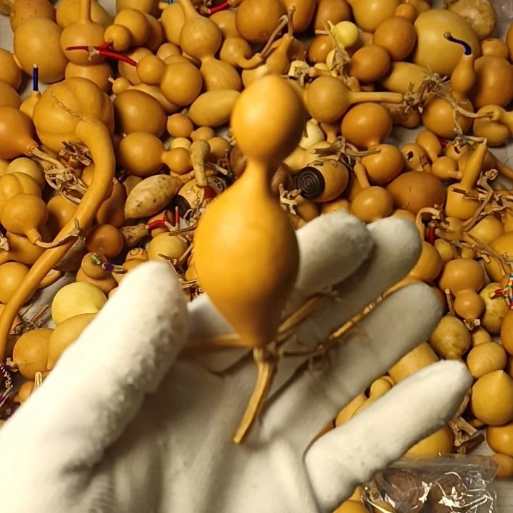 代瑕疵的一个小鸟