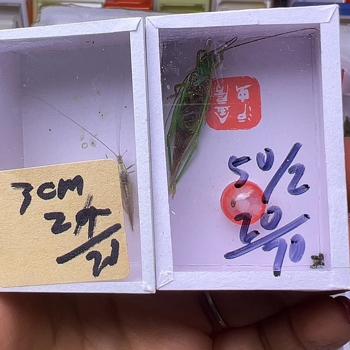 保***医哈哈哈哈哈哈哈哈哈哈哈哈哈哈哈