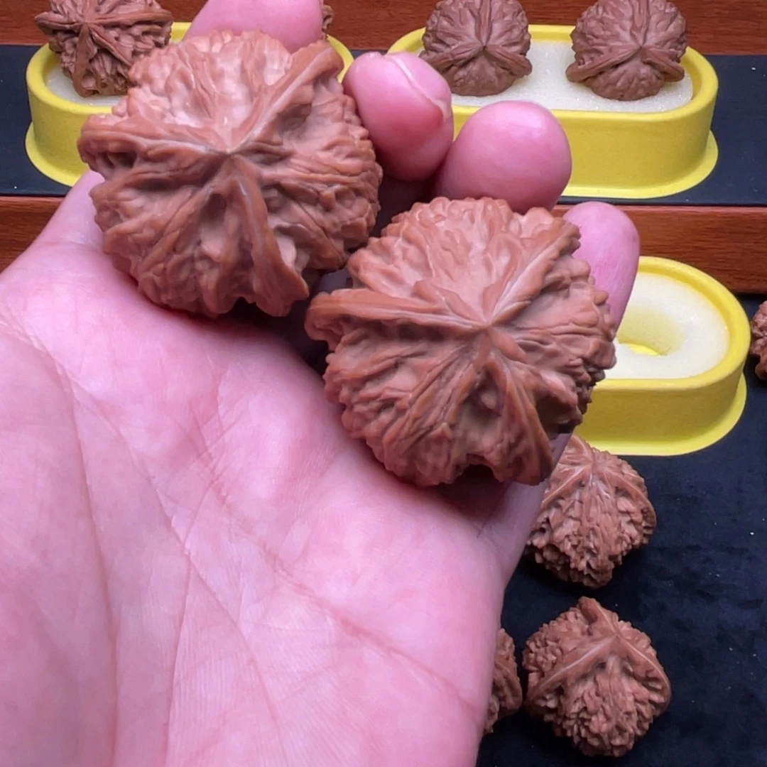 c***h核桃手串/手链玉龙粗筋