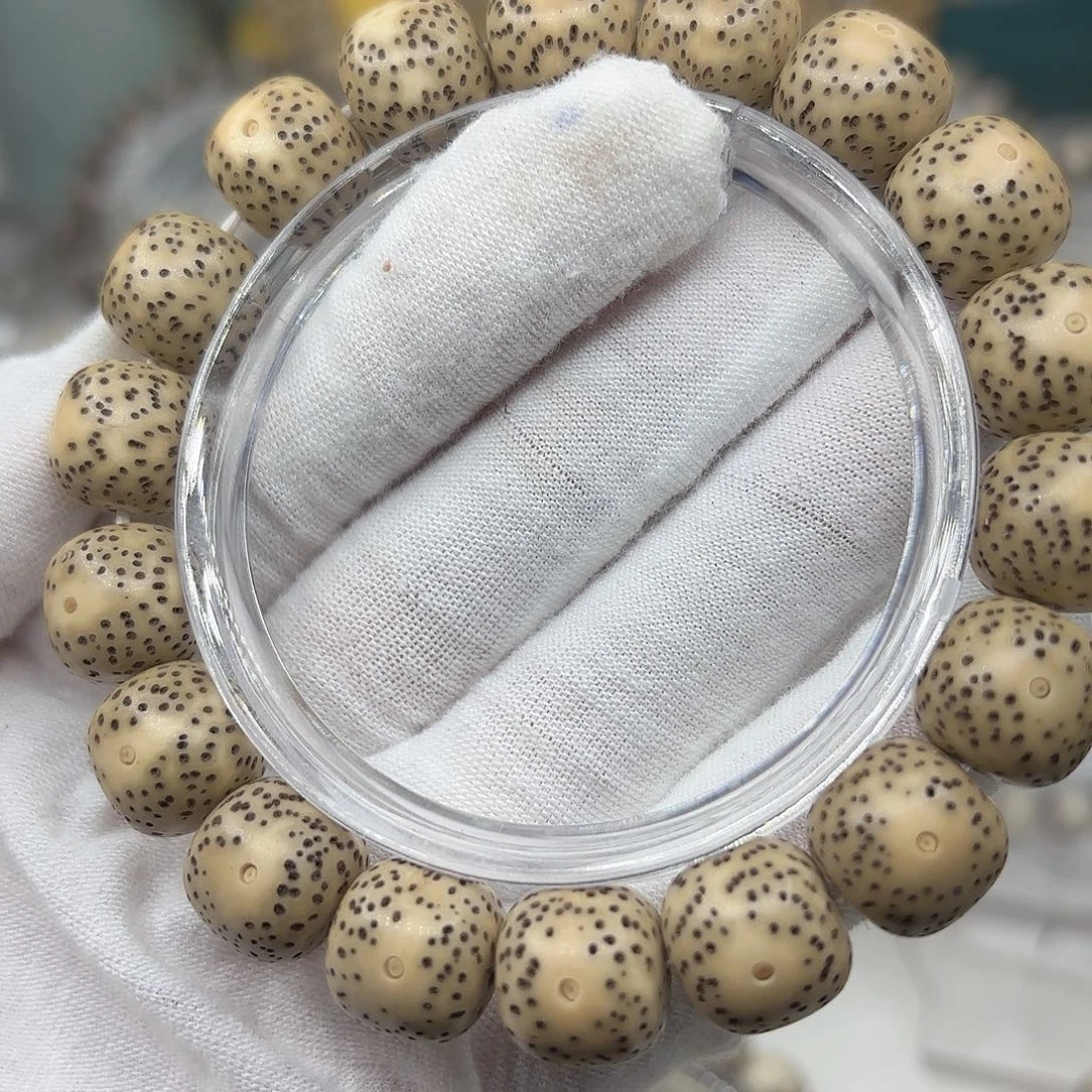 星月菩提手串陈籽