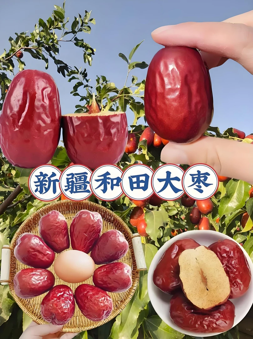 【送检测试剂】无硫新疆和田红枣大枣新货核小肉厚营养批发新疆红枣