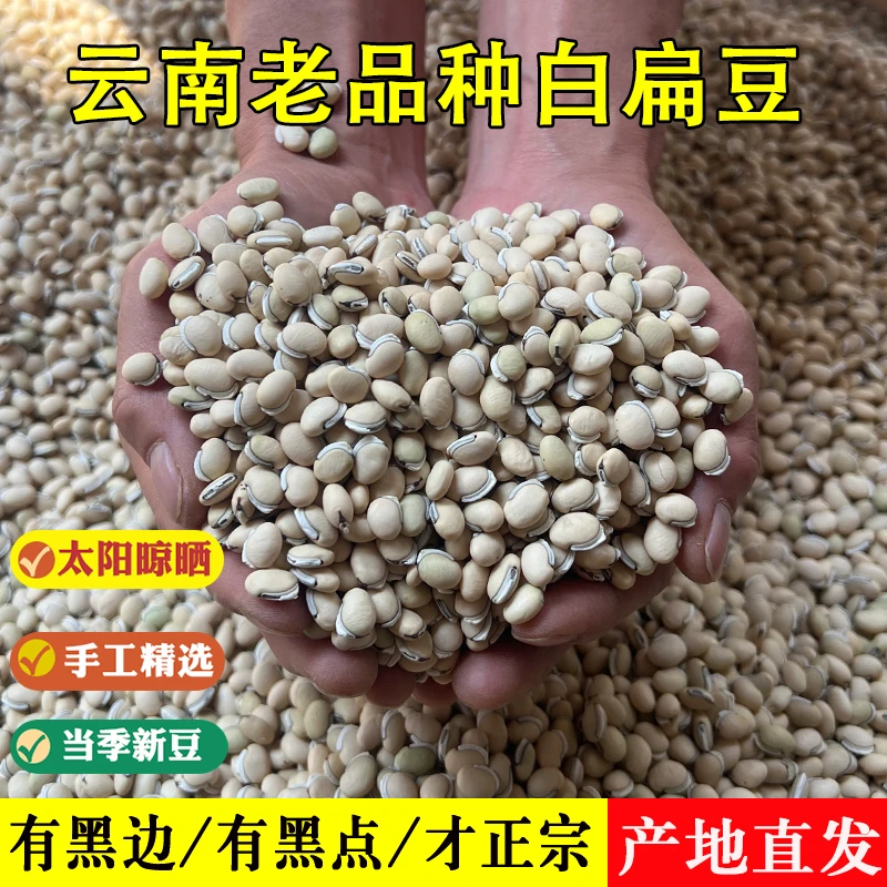 云南高山老品种白扁豆黑边黑点正品白扁豆晒干无硫搭配茯苓芡实