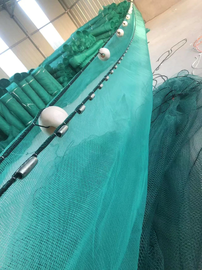 10目3毫米40目1毫米拉网