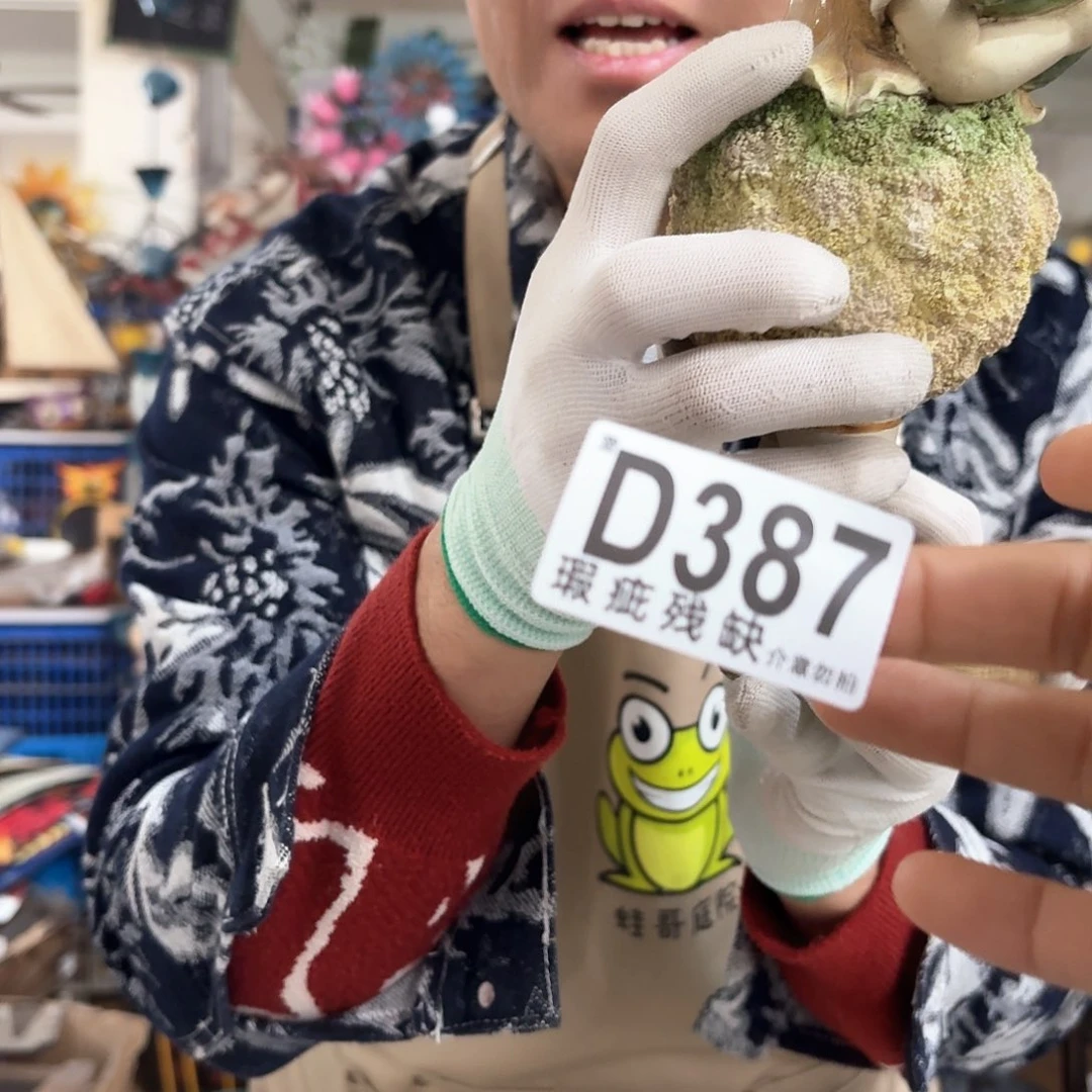 核桃木/黑胡桃（胡桃木）