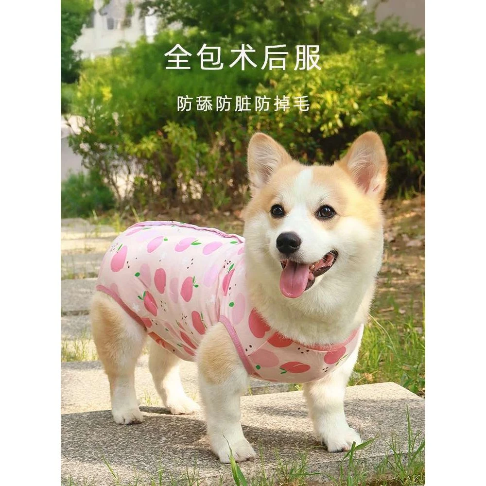 柯基柴犬比熊狗狗绝育服母狗断奶服公狗手术后衣服全包护肚空调服