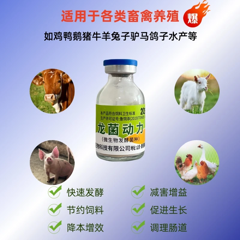 龙菌动力微生物发酵菌种专为养殖研发的菌种厂家直销