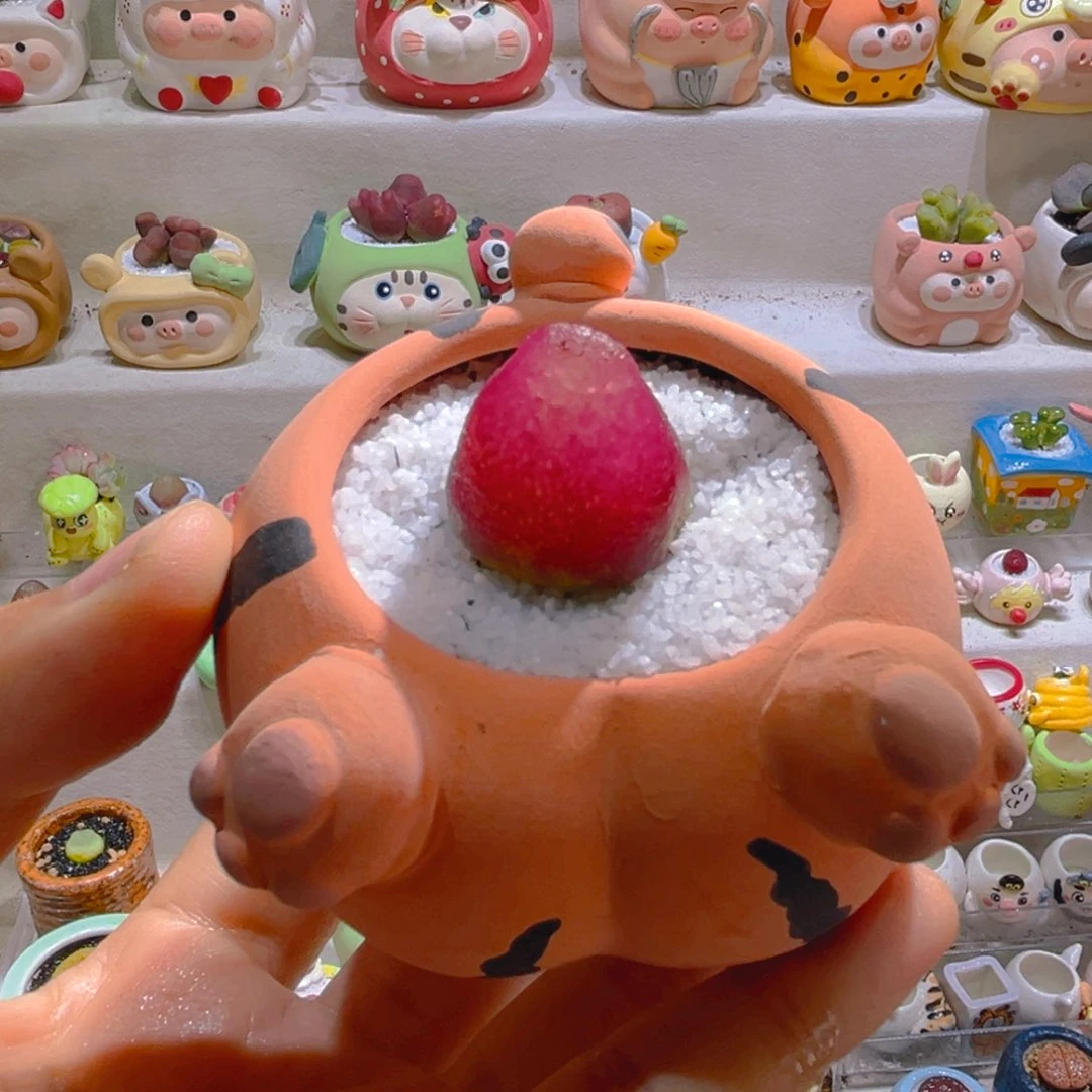 J***eJ宝专属链接拍拍