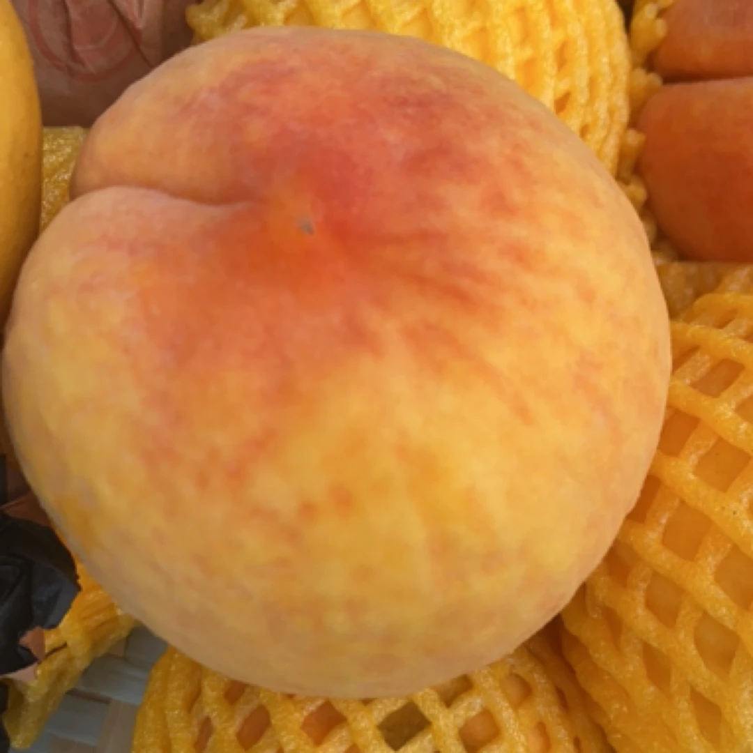 新鲜应季大黄桃蜜桃多汁水果