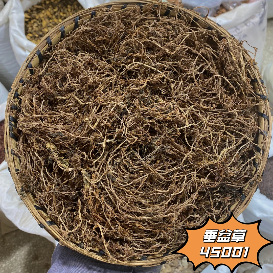 【杨成鉴定草师】专属云南盆草精选中草药可磨粉中药材灯盏花中草药