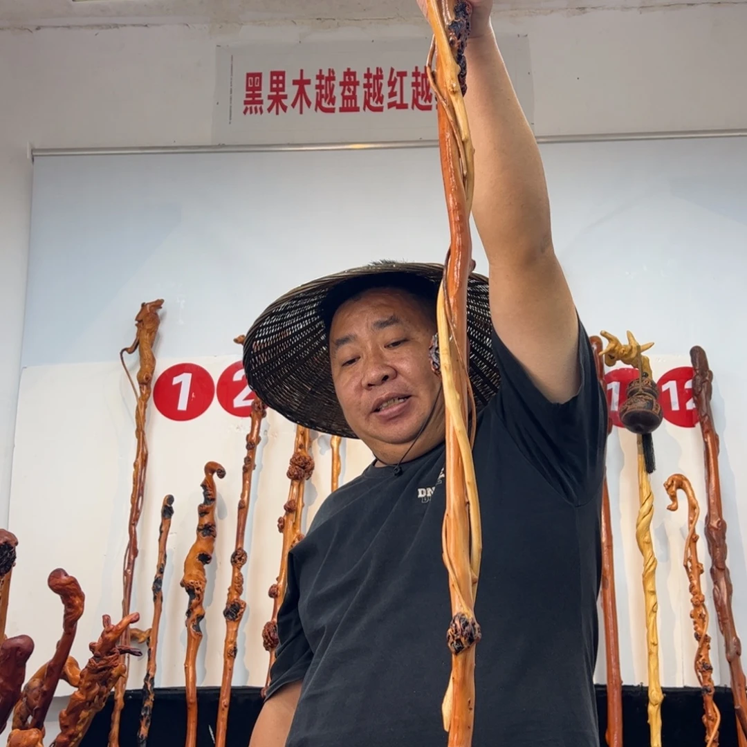 云***鹤黑果木其他黑果木283