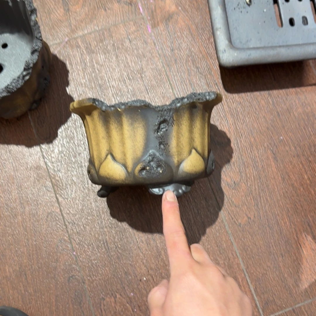 一***电公道杯紫砂呜呜我好想你