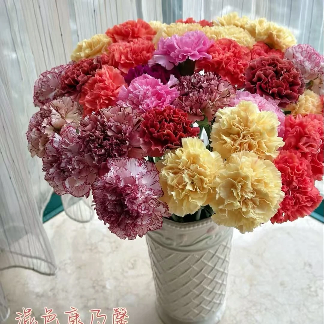 【混色康乃馨30枝】任意2单鲜花升级顺丰/德邦