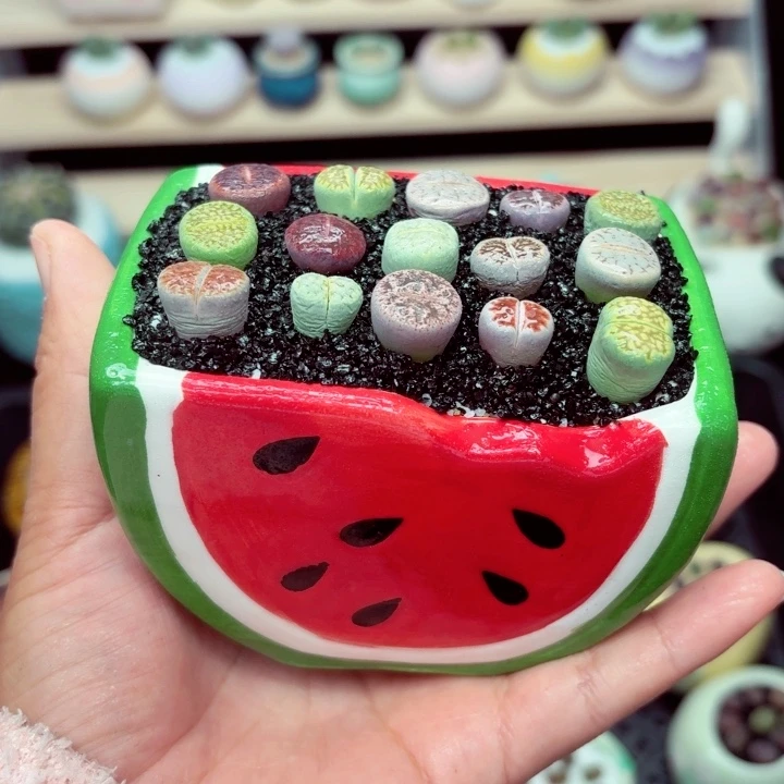 8020零下地区记得拍保温箱