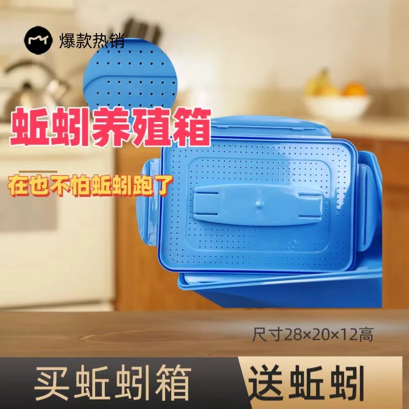 牛粪喂养大号鲜活红蚯蚓养殖箱野钓便携防逃透气装活饵实验观察箱