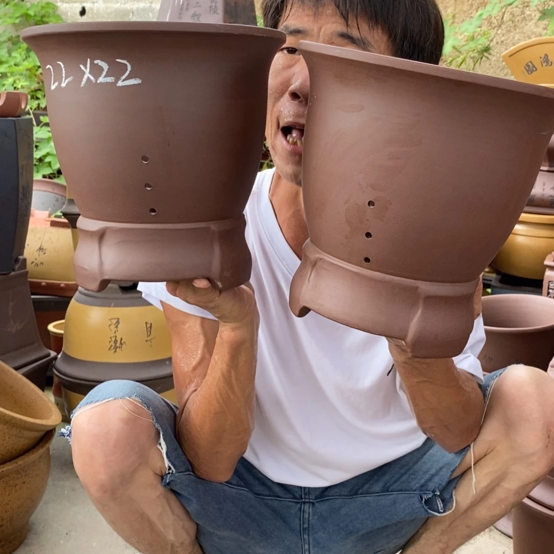 紫砂紫砂紫砂紫砂