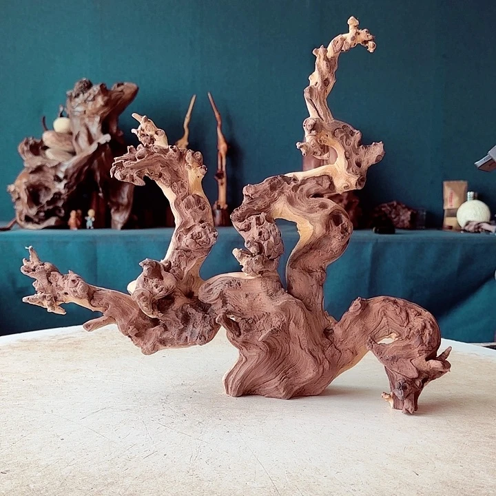 黑果木枫*365金丝红木羊蹄甲半成品