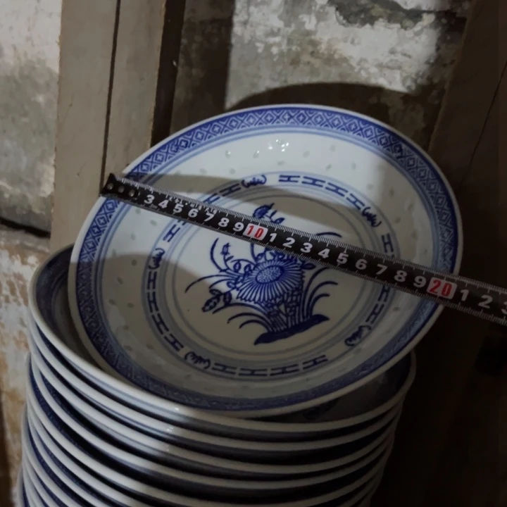 碗青花玲珑8寸兰花盘子