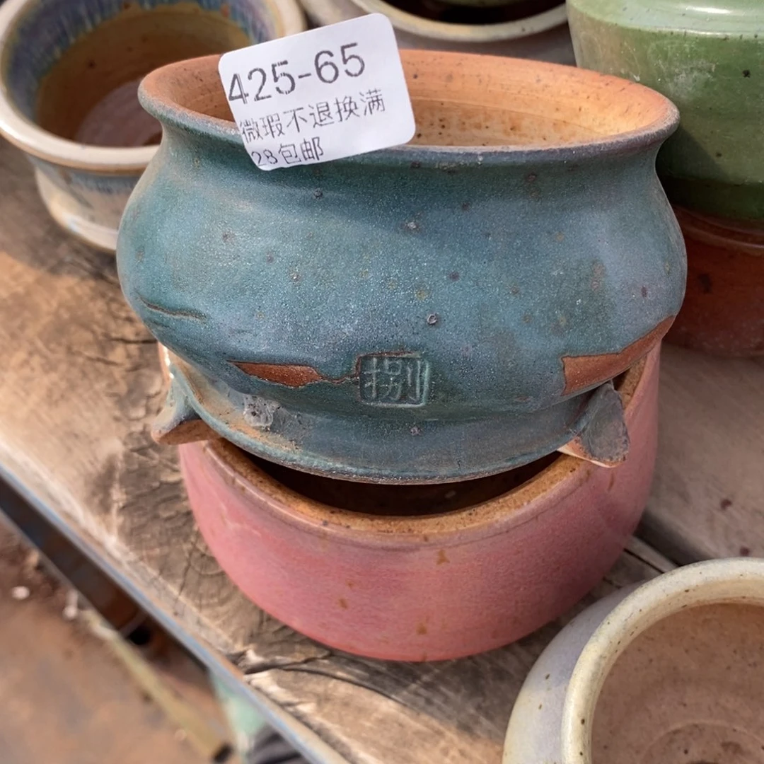 梅*65号多肉盆一个呀