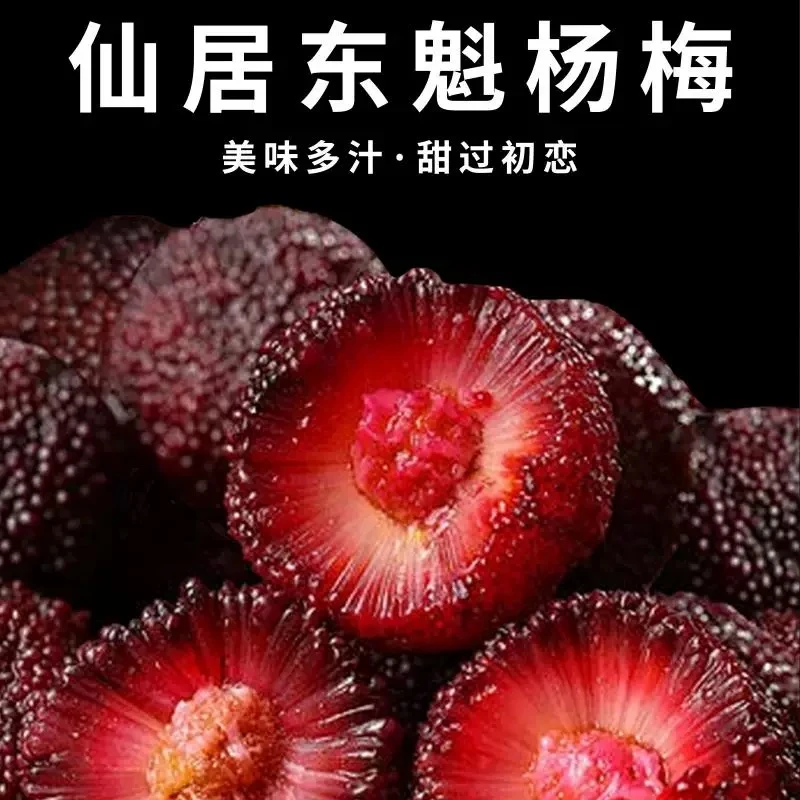 【达人专属】【开园9A大果】9A新鲜东魁仙居大棚杨梅大果当季产地直发 江浙沪次日达直发到手约1350g浙江省