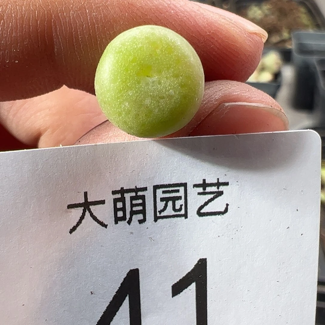 000041一物一拍……