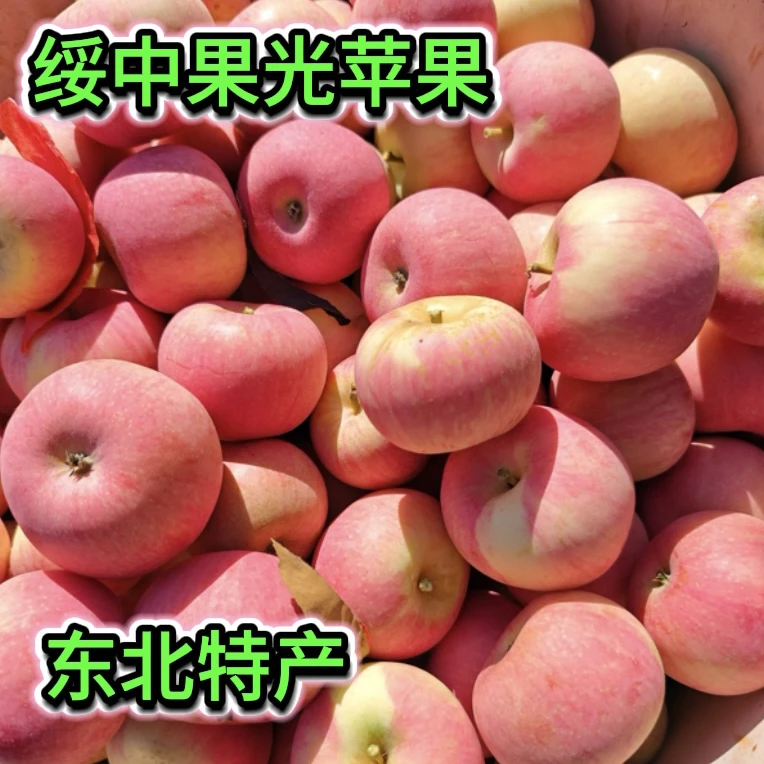 绥东北绥中特产果光苹果秋果酸甜苹果