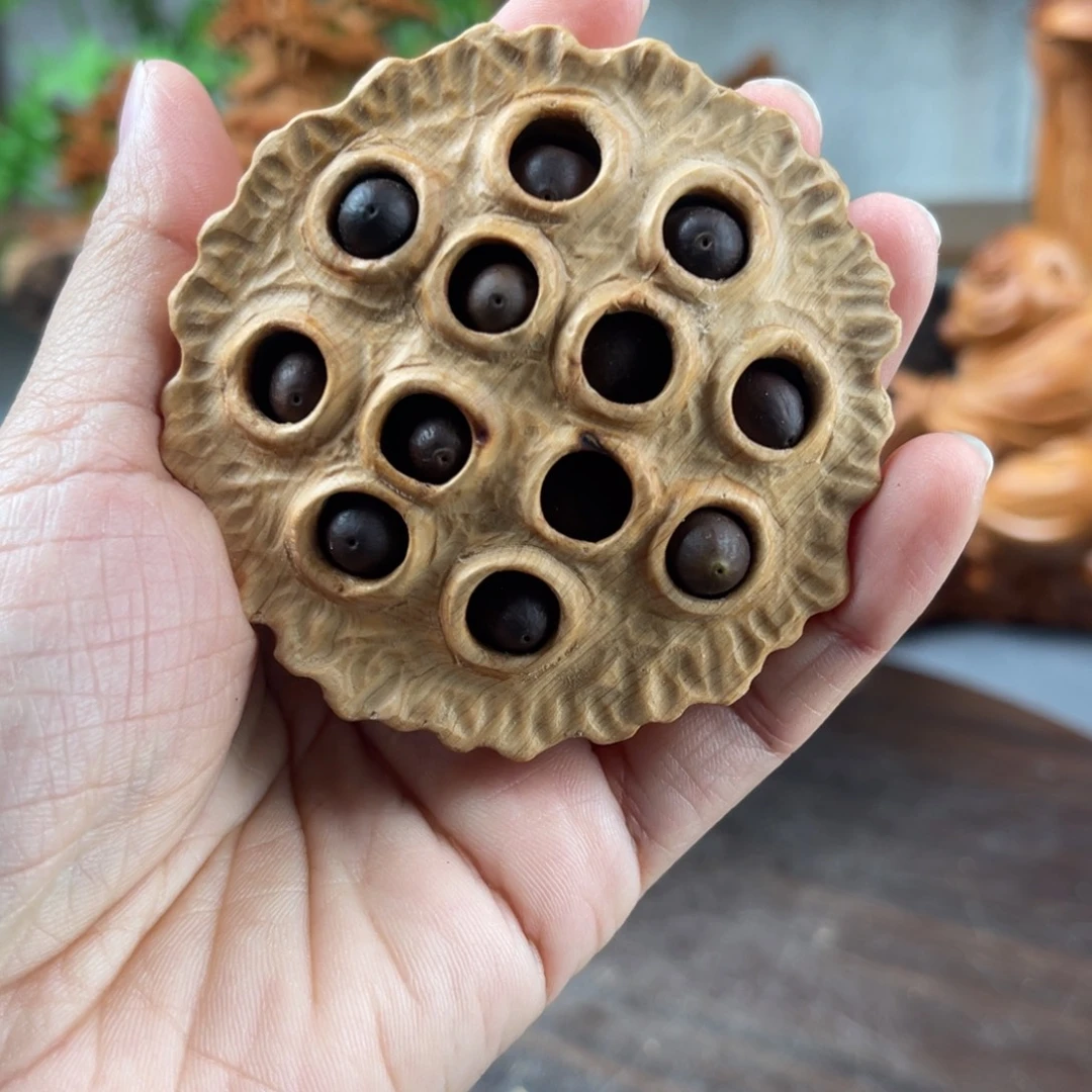 柏木（崖柏）崖柏太行山脉