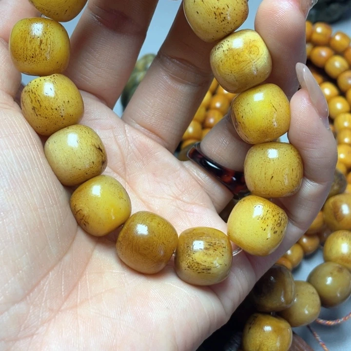 大果紫檀（缅甸花梨）