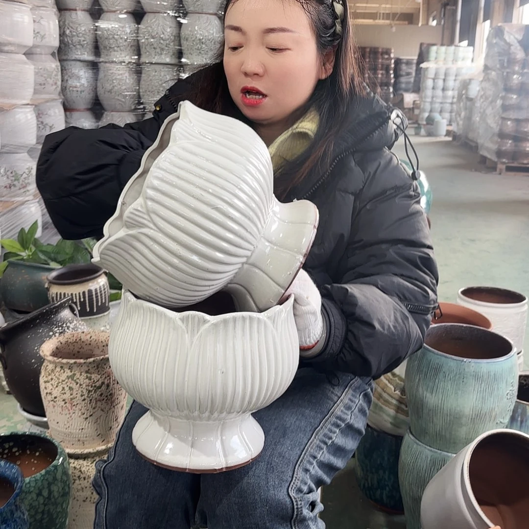 正品两个高20/20红陶