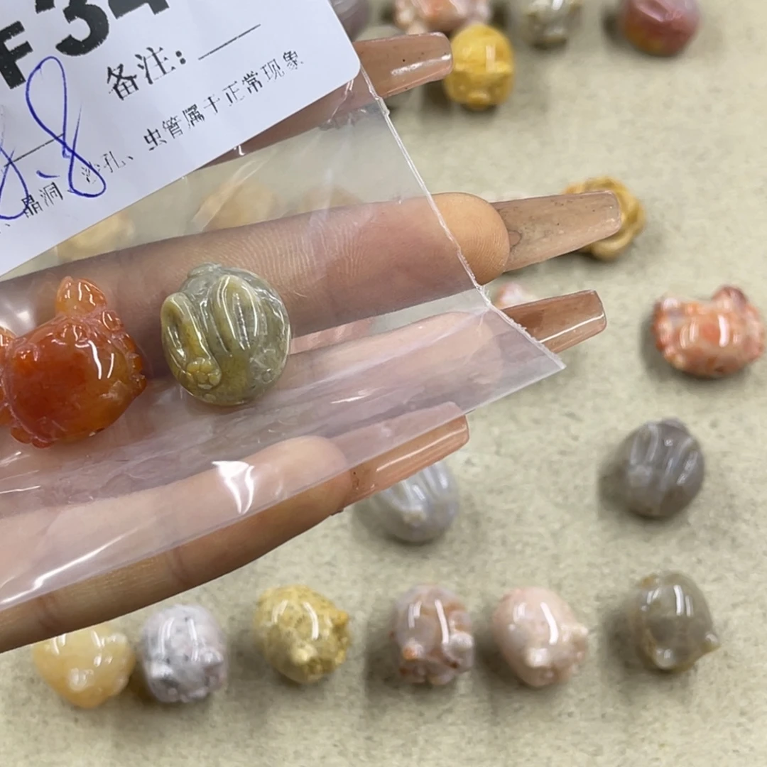 彩***鱼未镶嵌h硅化珊瑚（珊瑚玉）
