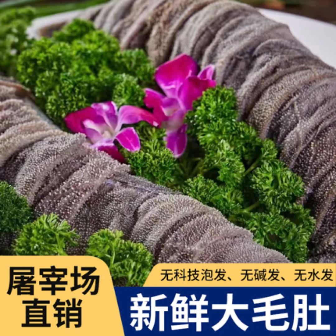 屠宰场新鲜毛肚老北京爆肚固体含量百分之90 固形物含量80%以上
