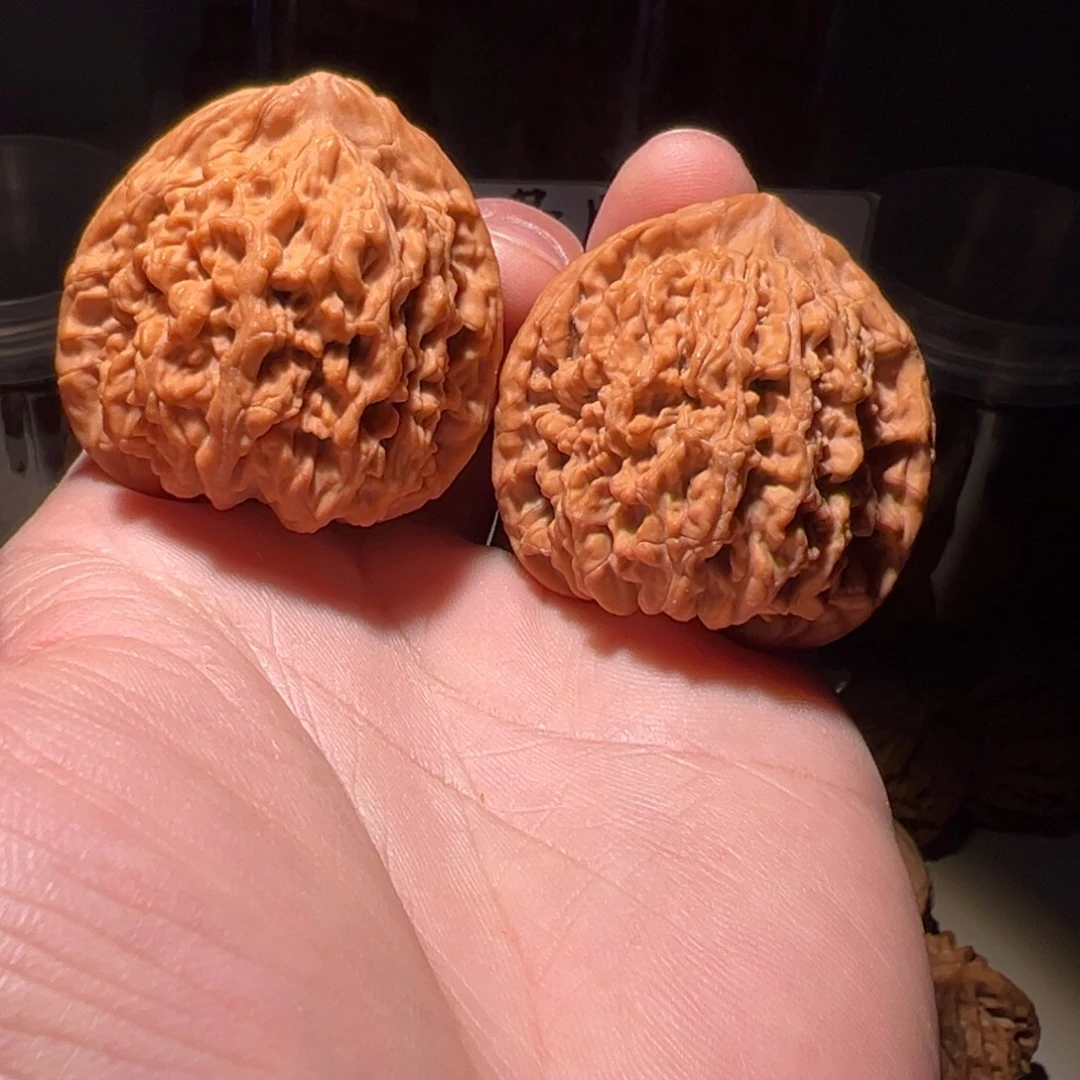 把件文玩核桃41尺全品蚂蚁王