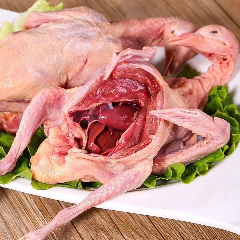 农家散养新鲜现杀鸽子肉生鲜煲汤鲜美无头无脚顺丰发货Z3