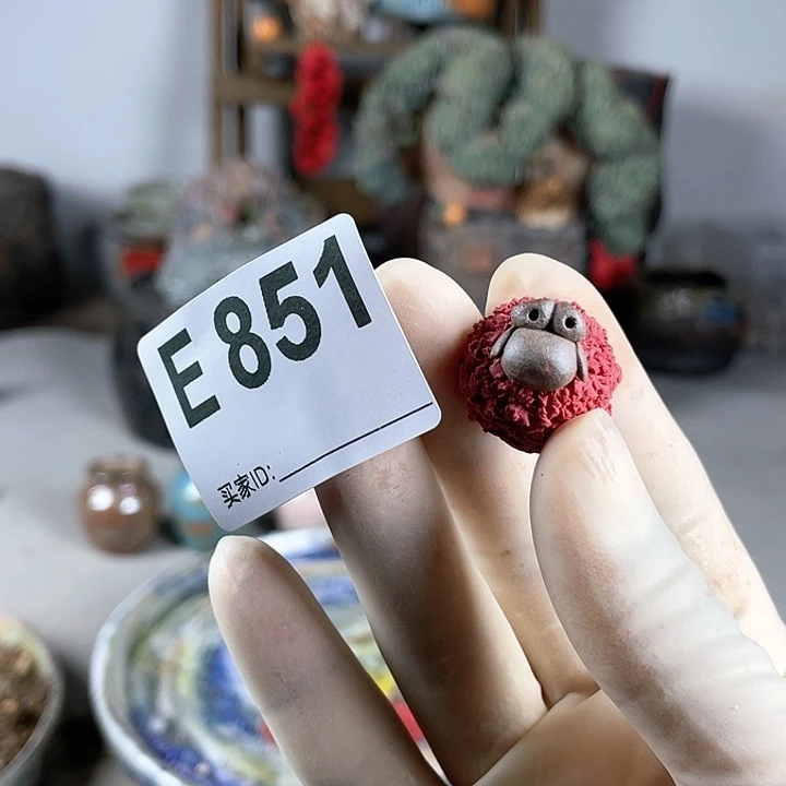 紫砂花盆@****陶瓷摆件