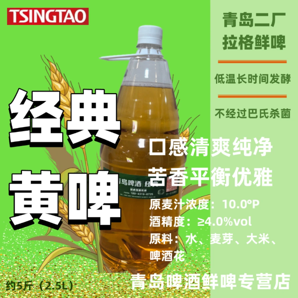 青岛啤酒 二厂经典黄啤 拉格鲜啤