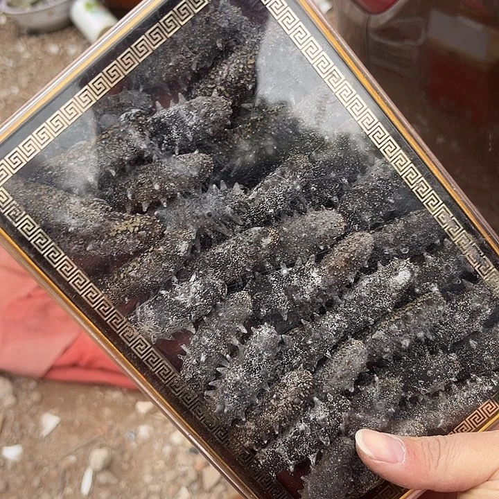 风***爱杂色豆（科檀/科特迪瓦檀木）