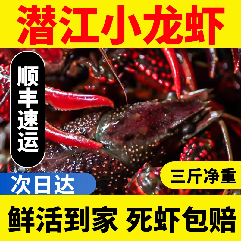 【水产折扣仓】鲜活4-7钱中青小龙虾清水青虾满肉满黄顺丰包邮到家