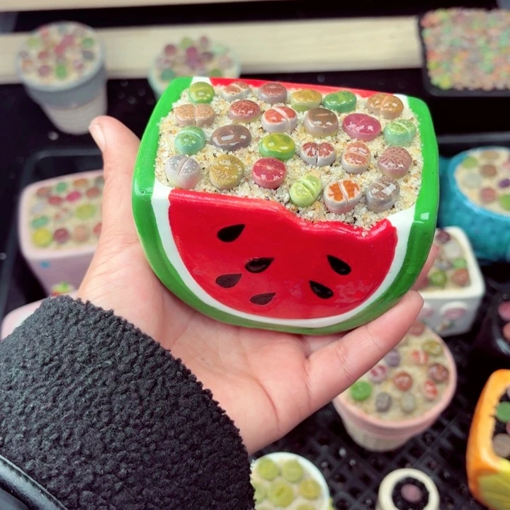 608零下地区记得拍包保温箱满18包邮