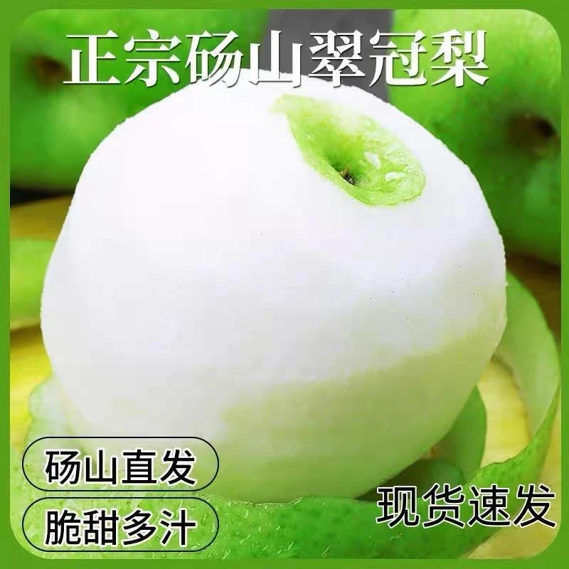 [新鲜采摘]正宗砀山青皮梨脆甜多汁净重4.5斤产地直发应季