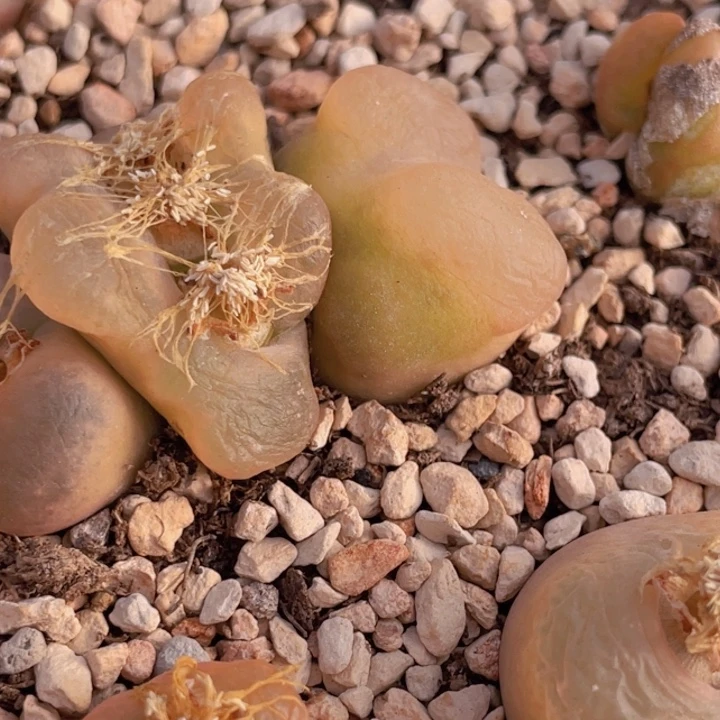 488808888888888888888