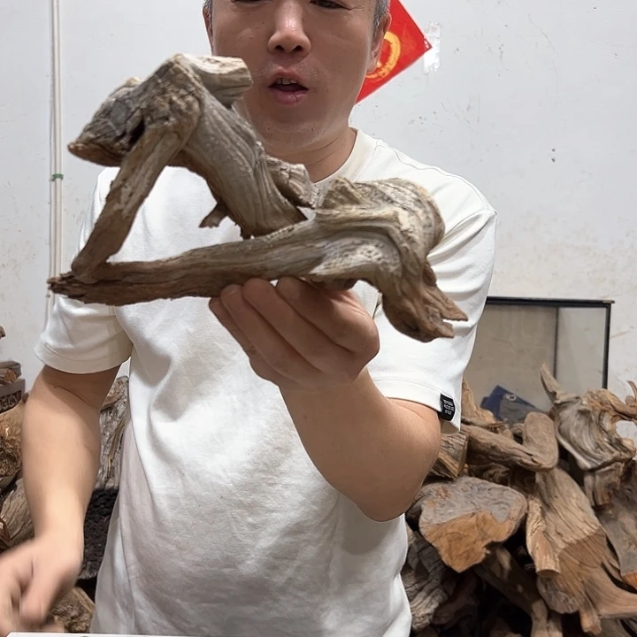 柏木红*我们的生活也会越来越美好