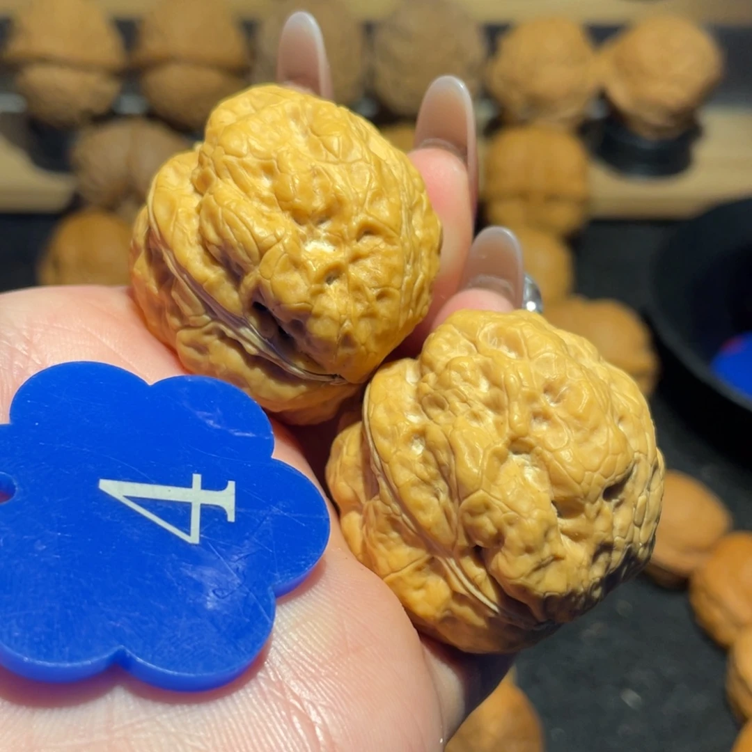 金蟾疙瘩包核桃36。