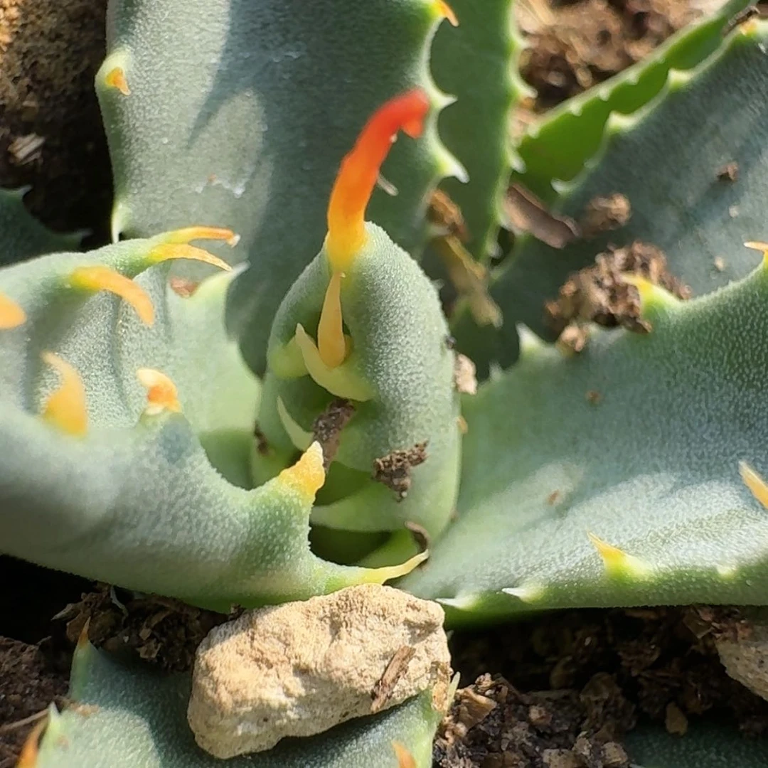 【闪购商品】26哈哈哈哈哈哈哈