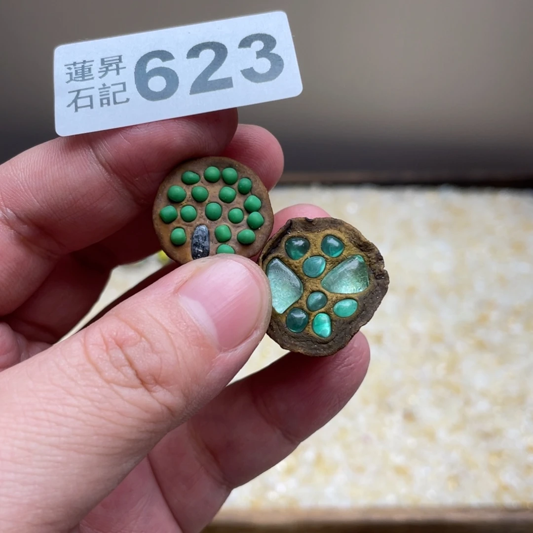 核桃木/黑胡桃（胡桃木）安****子623