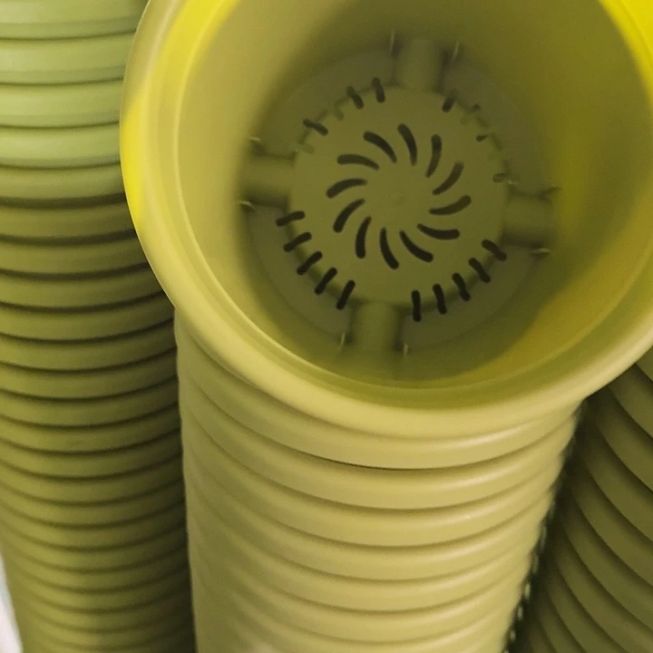 四季3号果绿无托10个特价