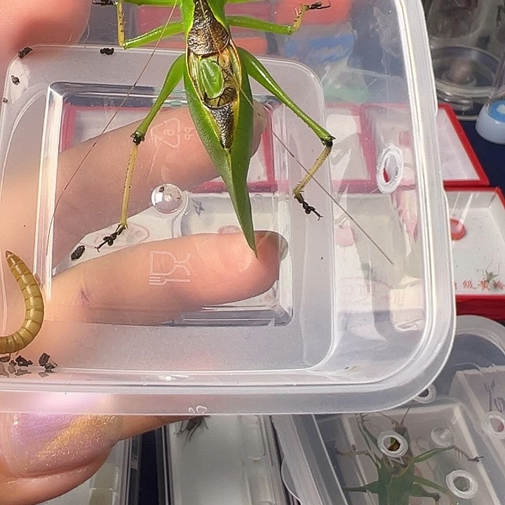 哈哈哈哈哈哈哈哈哈