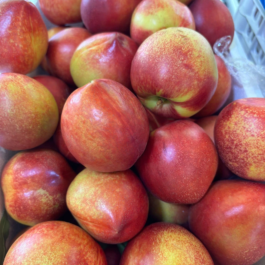 【新鲜现摘】油桃500g山东省