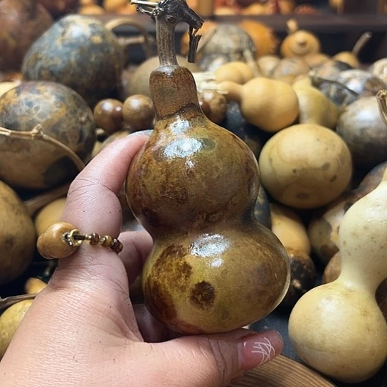 摄***丁葫芦葫芦葫芦葫芦