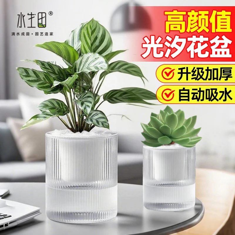 自吸水花盆室内桌面盆栽专用透水透气懒人水培绿萝办公室客厅加厚