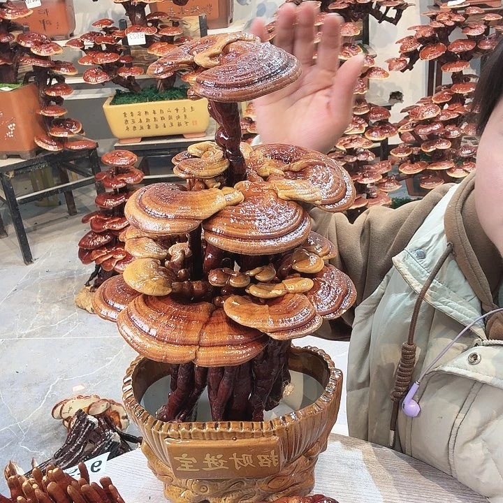 无花朵88888888888888888888